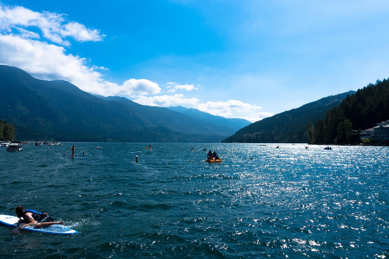 廣東省李峰最新消息概覽，最新動(dòng)態(tài)與進(jìn)展。