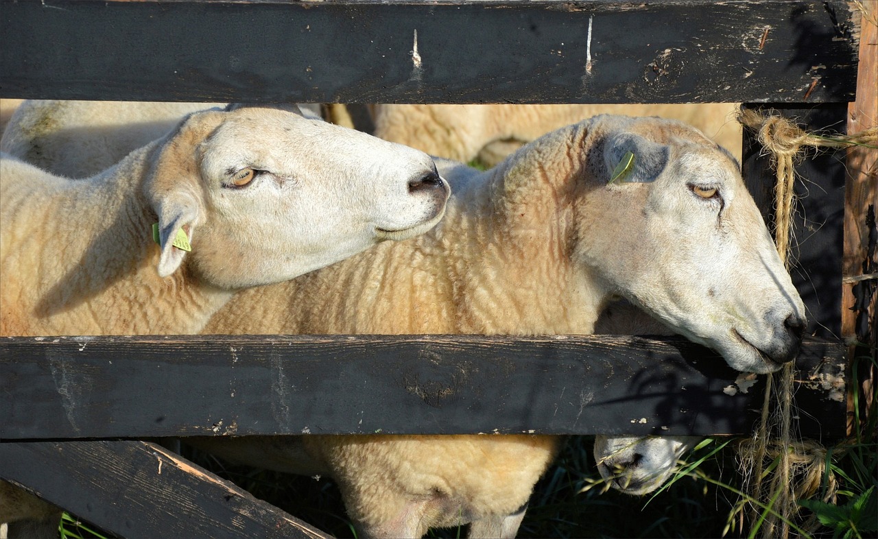 杜潯北板搬遷最新動態(tài)，產(chǎn)業(yè)轉(zhuǎn)型與升級的新篇章