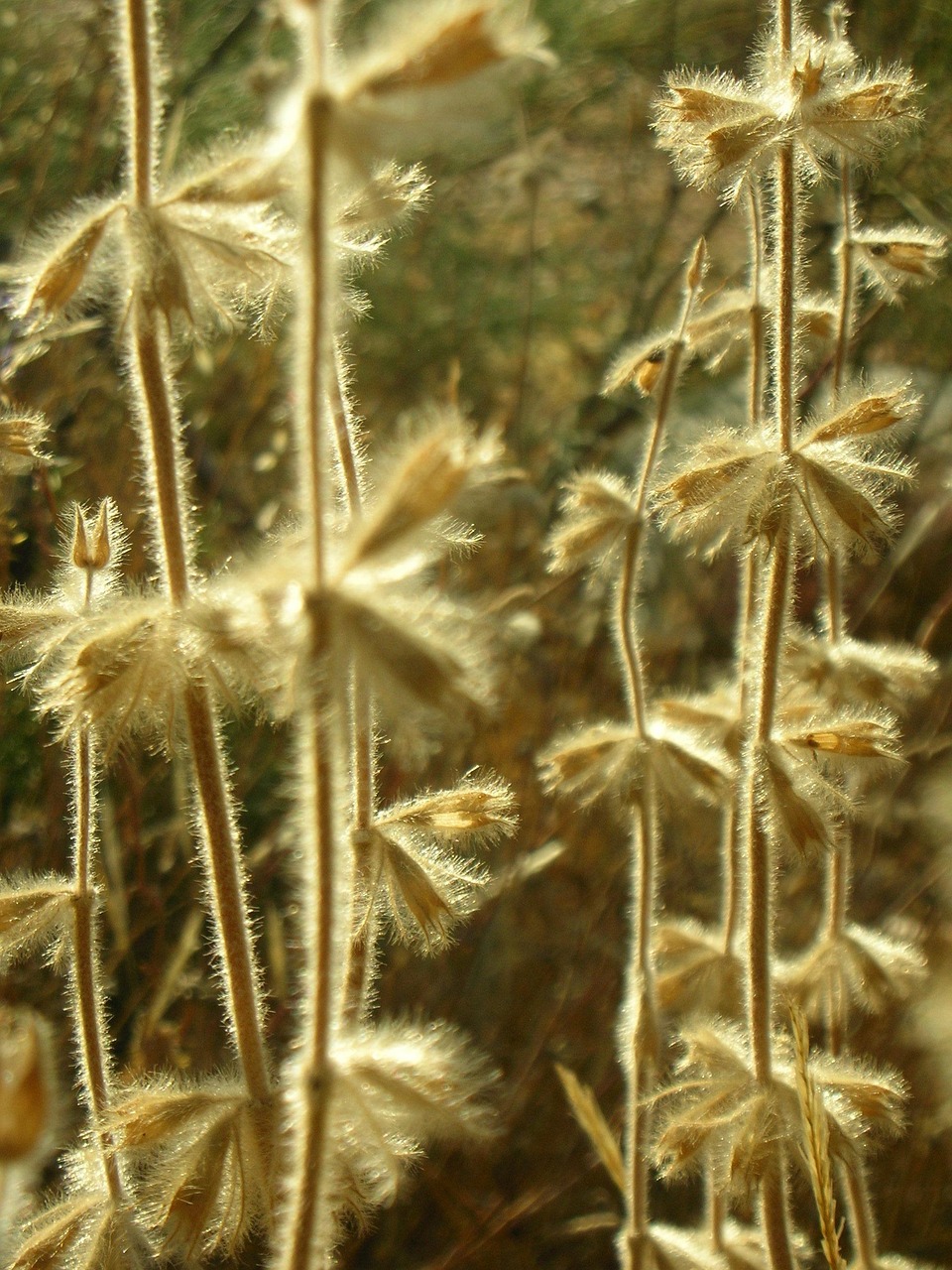 今日陽光M1最新動態(tài)，開啟電動智能出行新篇章