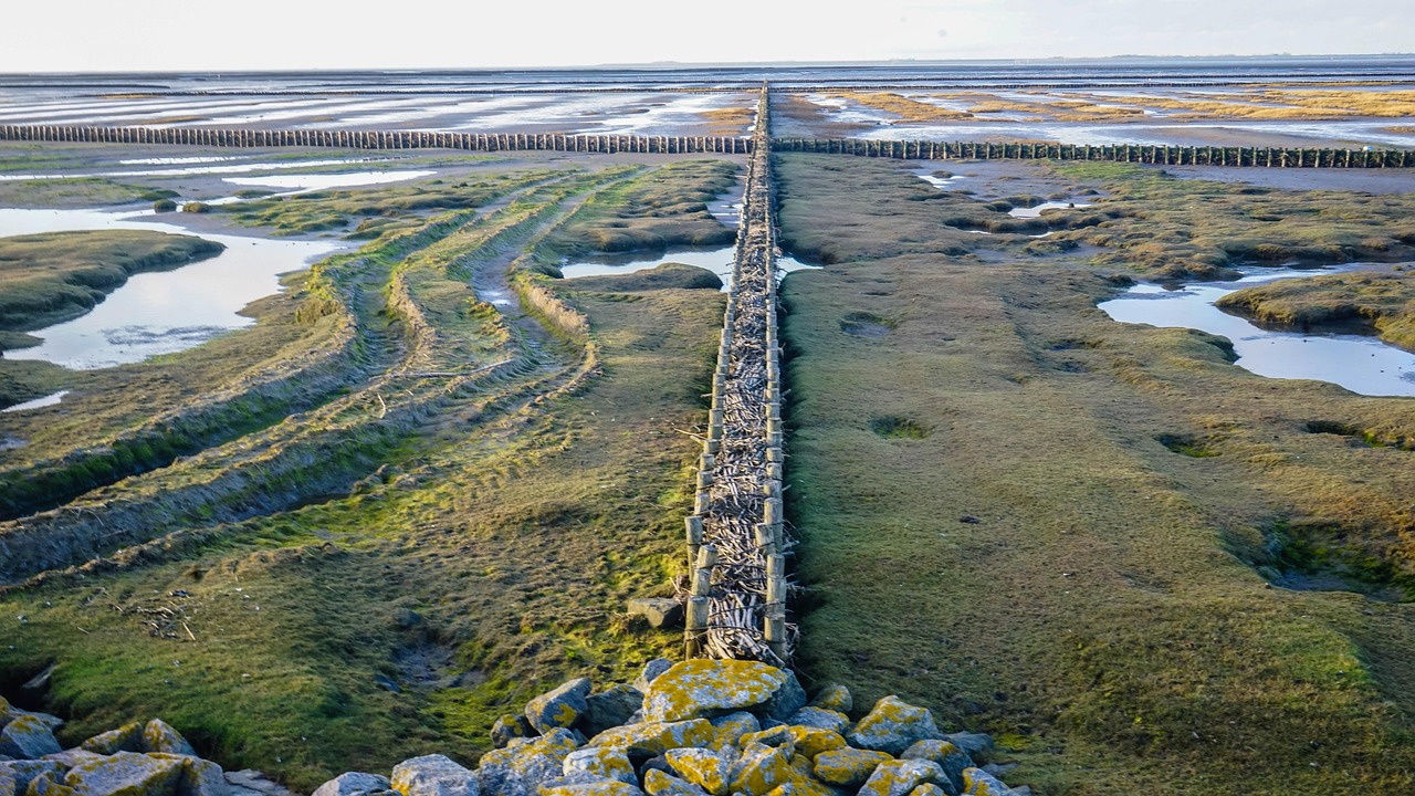 ?；◢u最新工程進(jìn)度圖全景概覽