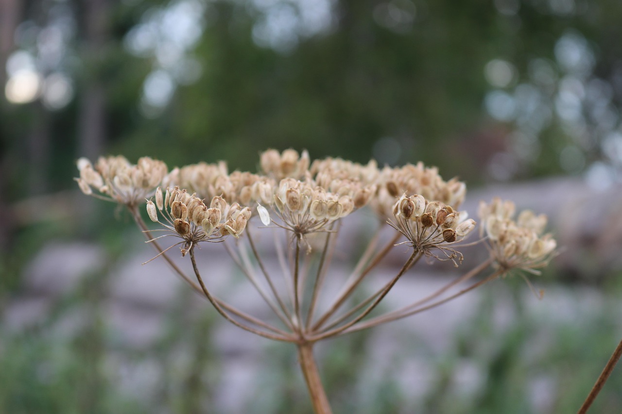 中源協(xié)和停牌最新消息全面解析與動(dòng)態(tài)關(guān)注