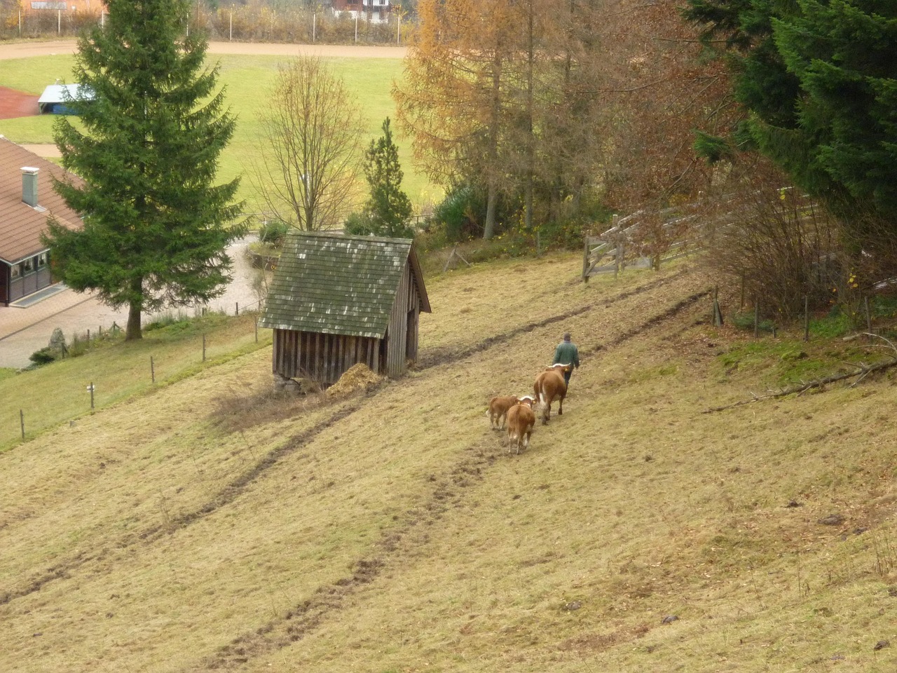 QQ農(nóng)牧場偷匪最新版，開啟游戲樂趣與挑戰(zhàn)的新篇章