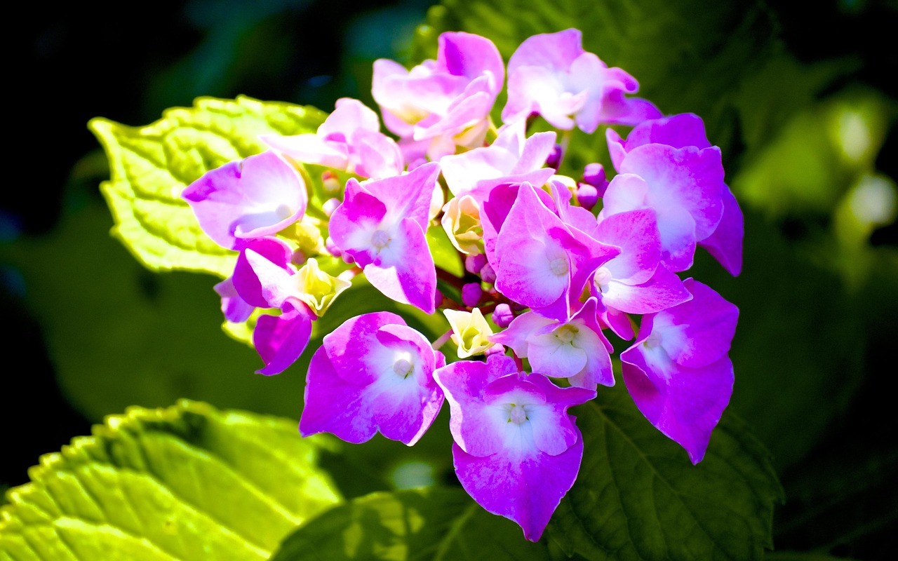 李景文將軍的最新動(dòng)態(tài)，軍事生涯與卓越貢獻(xiàn)概述