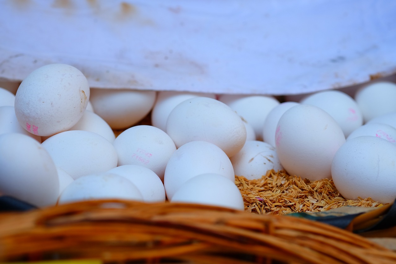 大豆油最新出廠價(jià)格動(dòng)態(tài)分析與趨勢預(yù)測