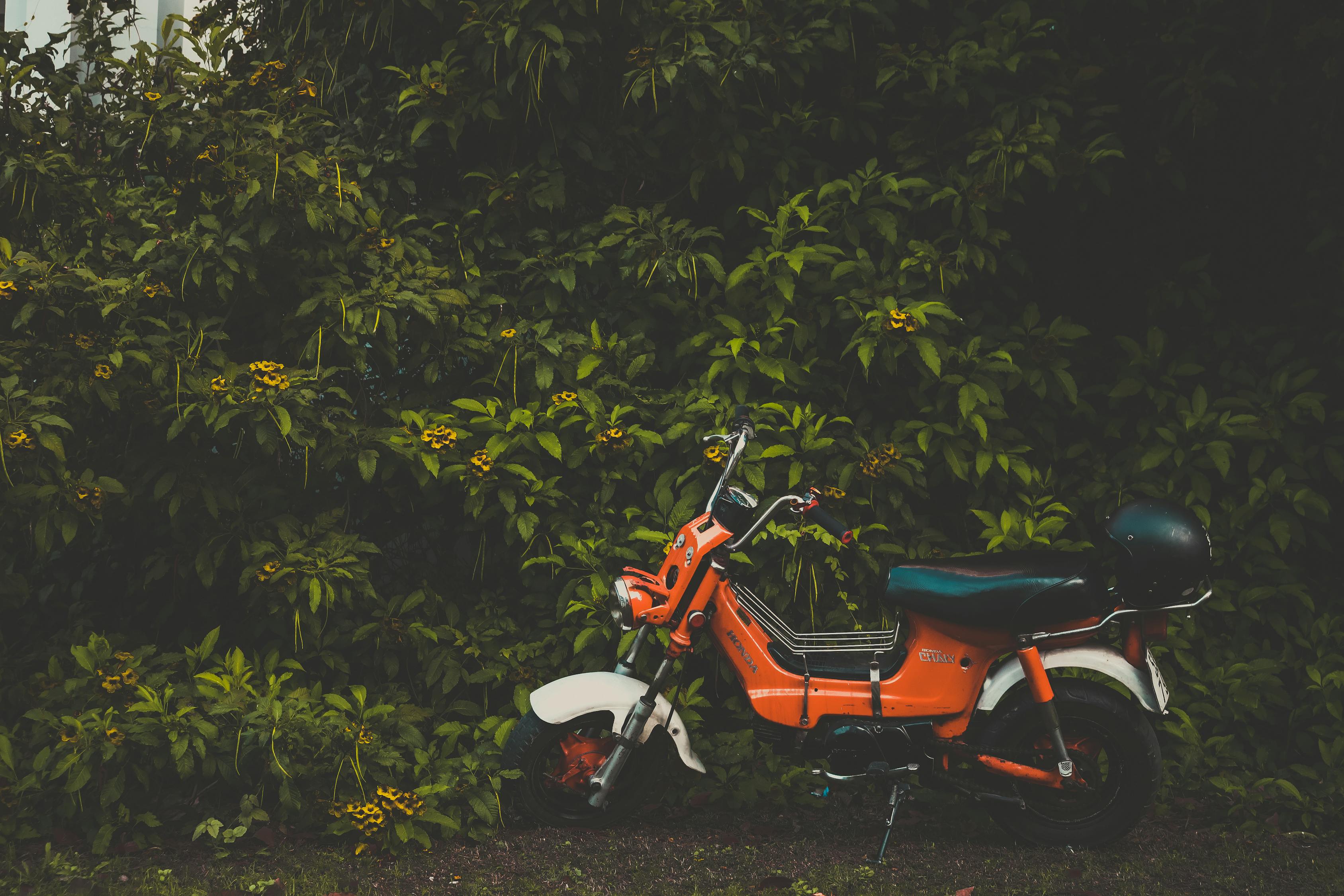 五羊本田鷙引領(lǐng)新時(shí)代摩托車技術(shù)革新，最新消息揭秘