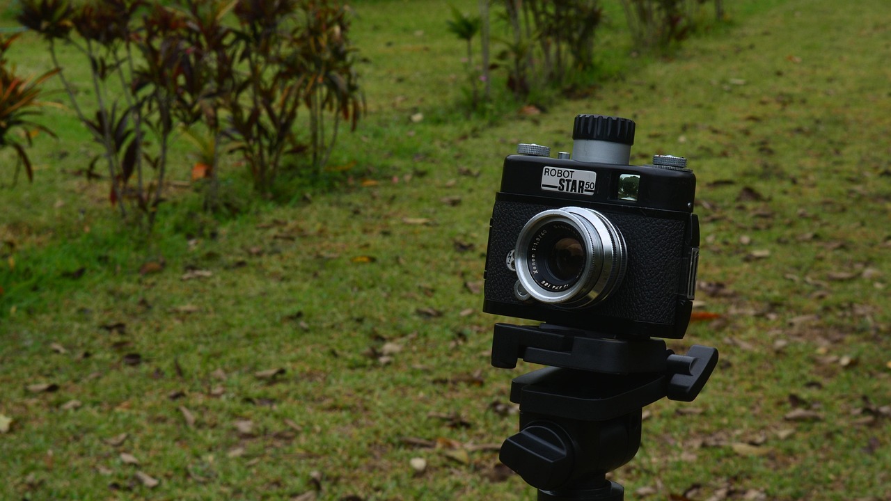 孔令輝與馬蘇的最新動(dòng)態(tài)，體育界耀眼明星的近況揭秘