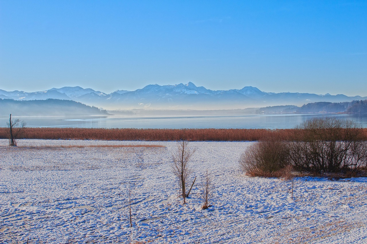 揭秘，關(guān)于1977年1分硬幣的最新消息與動(dòng)態(tài)分析