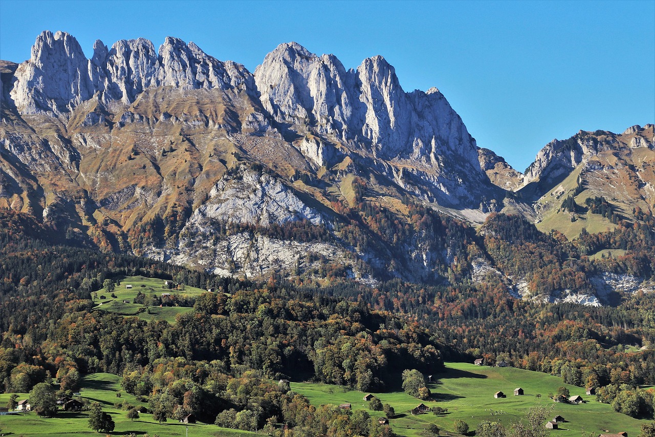 灃西新城資村發(fā)展最新動(dòng)態(tài)，脈絡(luò)、展望與未來(lái)趨勢(shì)