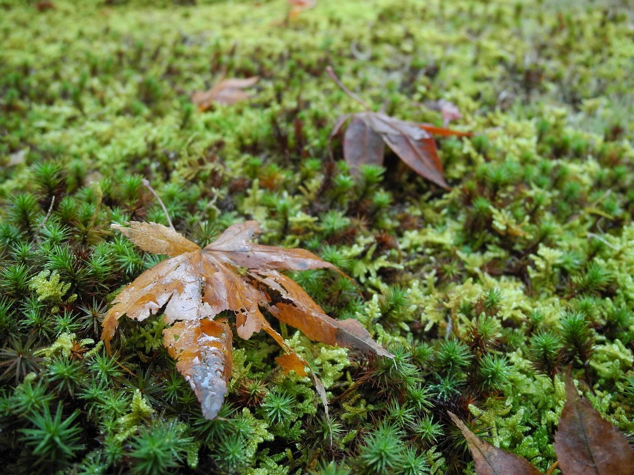 福建三明市最新新聞概覽，聚焦當?shù)貢r事熱點與動態(tài)