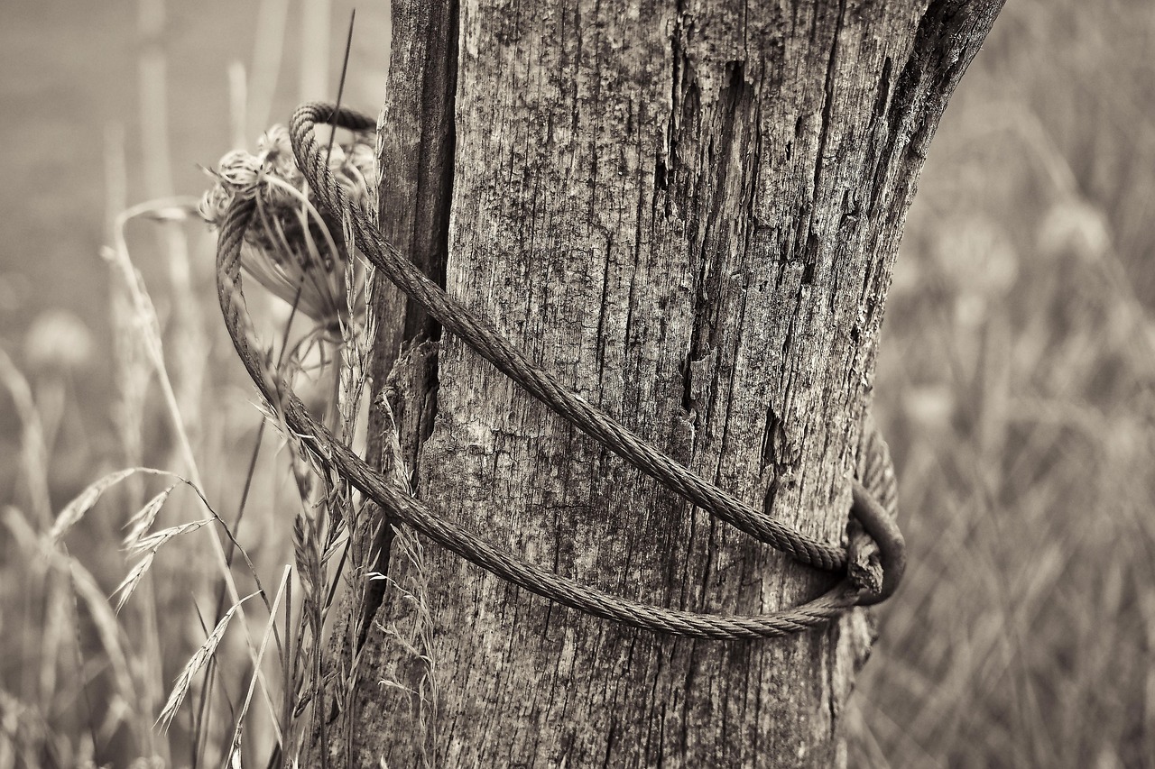 祁陽撤縣劃市最新動態(tài)，轉型發(fā)展開啟嶄新篇章