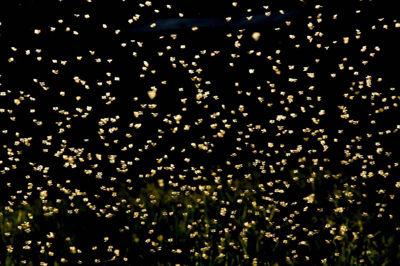 巢湖南路南延最新動(dòng)態(tài)，建設(shè)進(jìn)展及未來(lái)展望