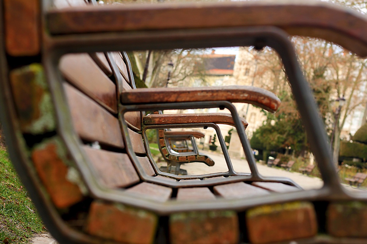 攀枝花新聞網(wǎng)，城市發(fā)展與民生動態(tài)的最新窗口