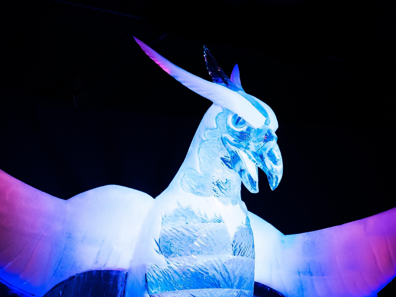 內(nèi)蒙古王東偉最新動(dòng)態(tài)，揭開神秘面紗，展現(xiàn)新時(shí)代風(fēng)采