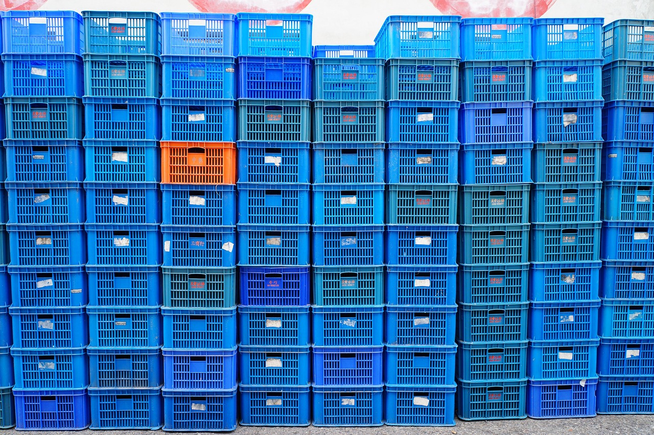 平頂山單知偉，城市發(fā)展的見證者與創(chuàng)新引領(lǐng)者的最新動(dòng)態(tài)