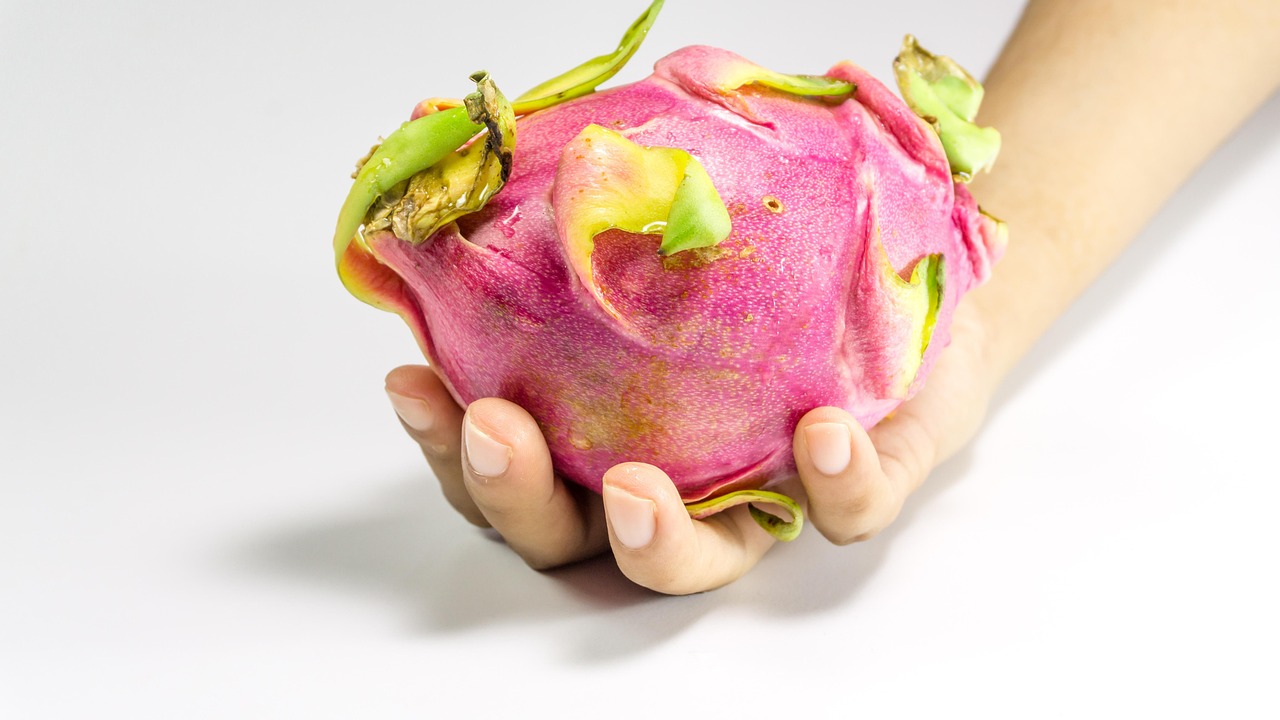 YY主播小白龍最新動態(tài)，探索成長與變化的軌跡