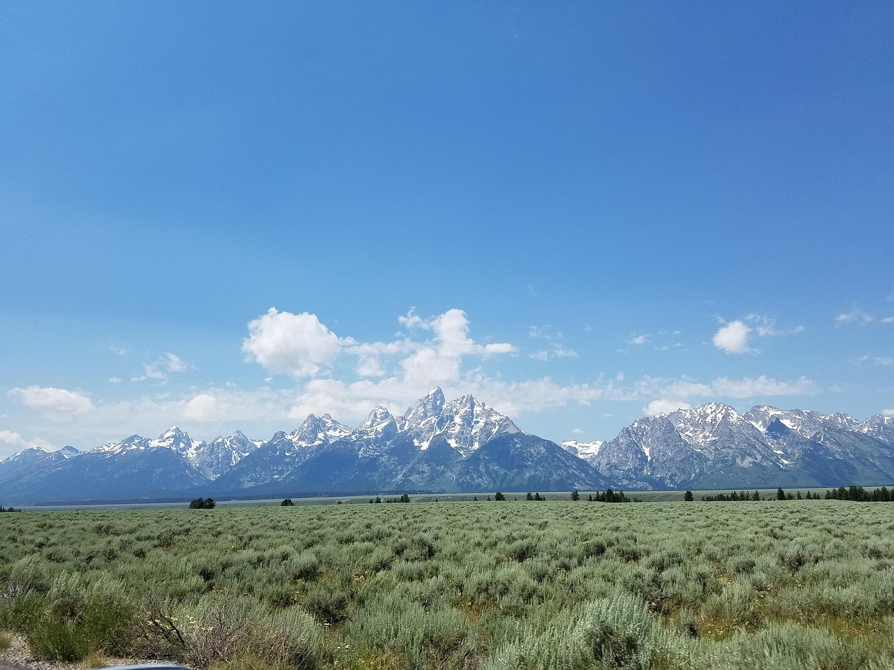 崀山犬木塘庫最新動態(tài)，揭開神秘面紗下的壯麗景象揭秘