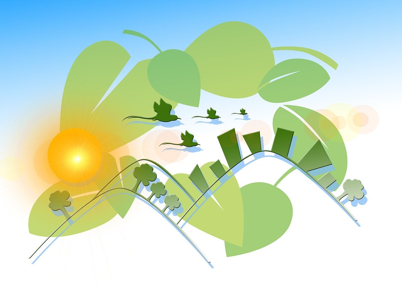 ST長油新三板動(dòng)態(tài)，最新消息與深度解析