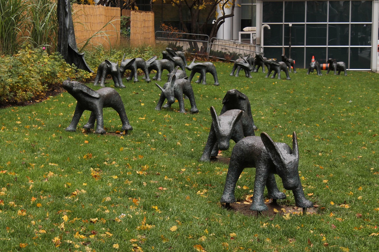 安湯一體化最新動態(tài)，引領(lǐng)城市發(fā)展的新浪潮