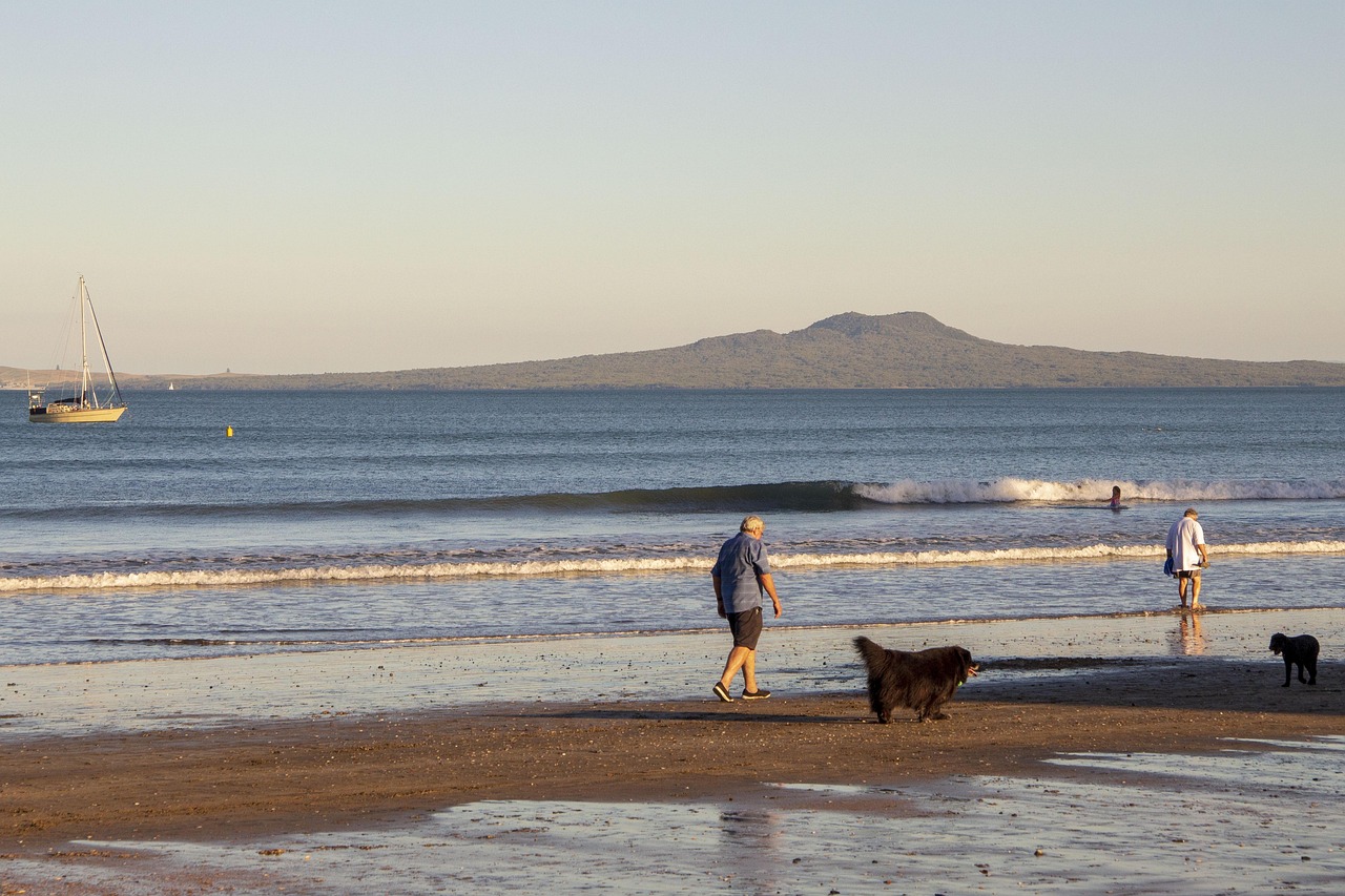 山西退休職工養(yǎng)老金調(diào)整最新動態(tài)，改革進展、未來展望與調(diào)整消息速遞