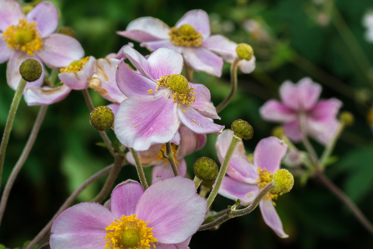 馬刺最新動(dòng)態(tài)，持續(xù)進(jìn)化，蓄勢待發(fā)啟航新征程