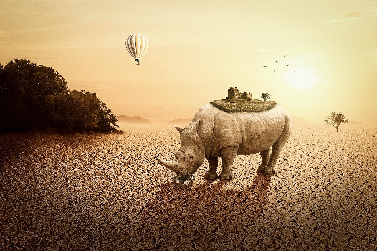 高陽最新樓盤信息全面解析，最新房源、動態(tài)及優(yōu)惠一網(wǎng)打盡！