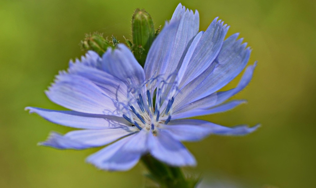 窗外的海風吹過 第2頁