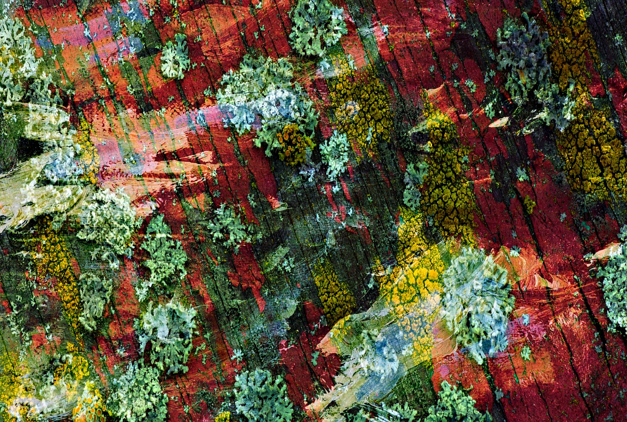 自然與現(xiàn)代交融的山野雜家新風(fēng)貌，鄉(xiāng)村新篇章