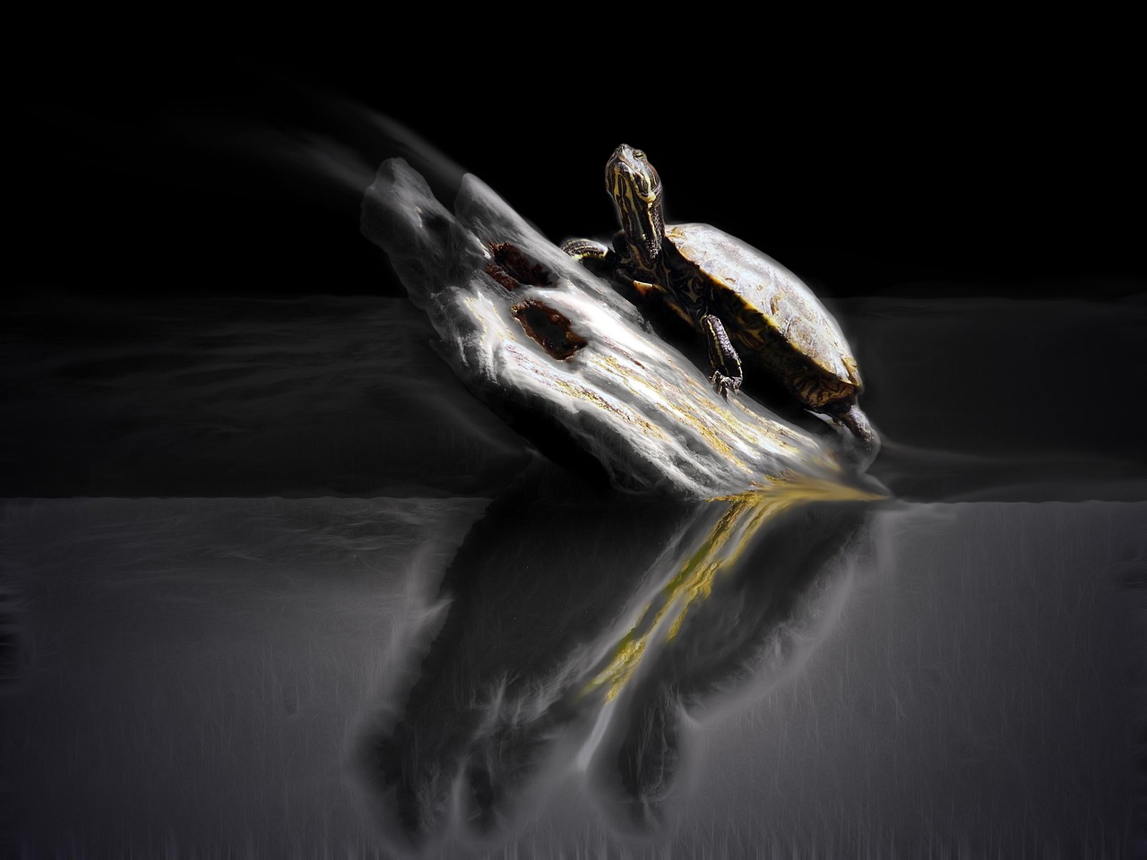 最新國(guó)產(chǎn)鬼片，恐怖與神秘的邊緣探索