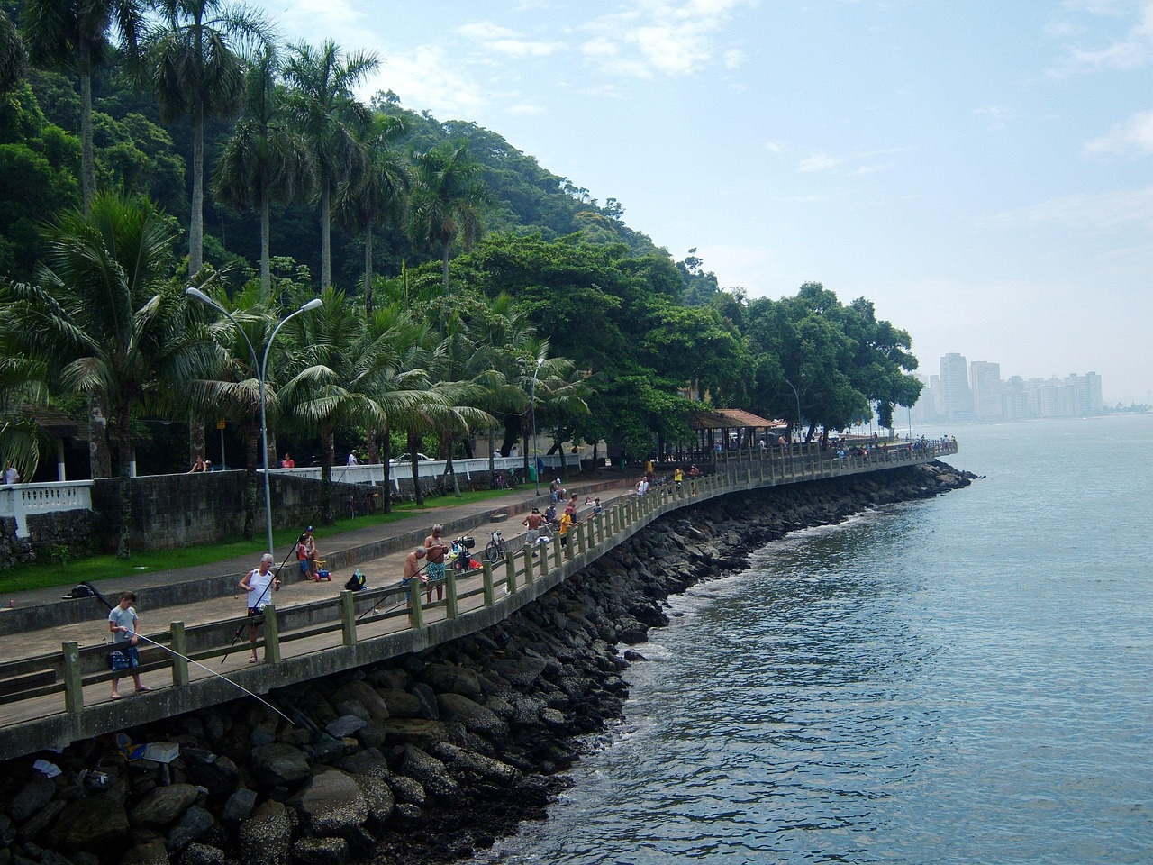 最新打魚(yú)平臺(tái)，探索現(xiàn)代漁業(yè)的新領(lǐng)域