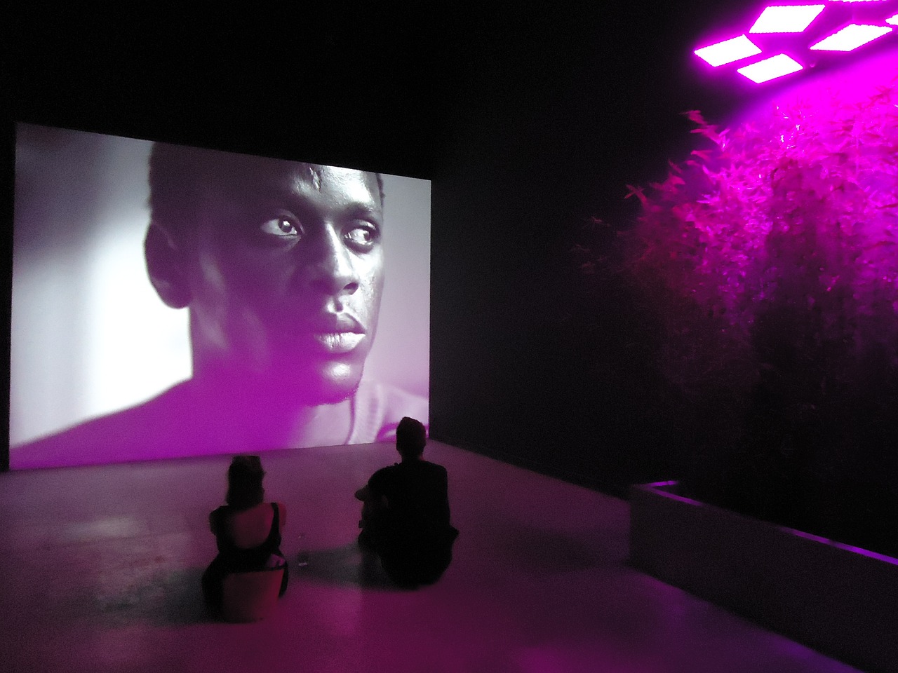 最新首映網(wǎng)，引領觀影潮流，打造電影愛好者首選平臺