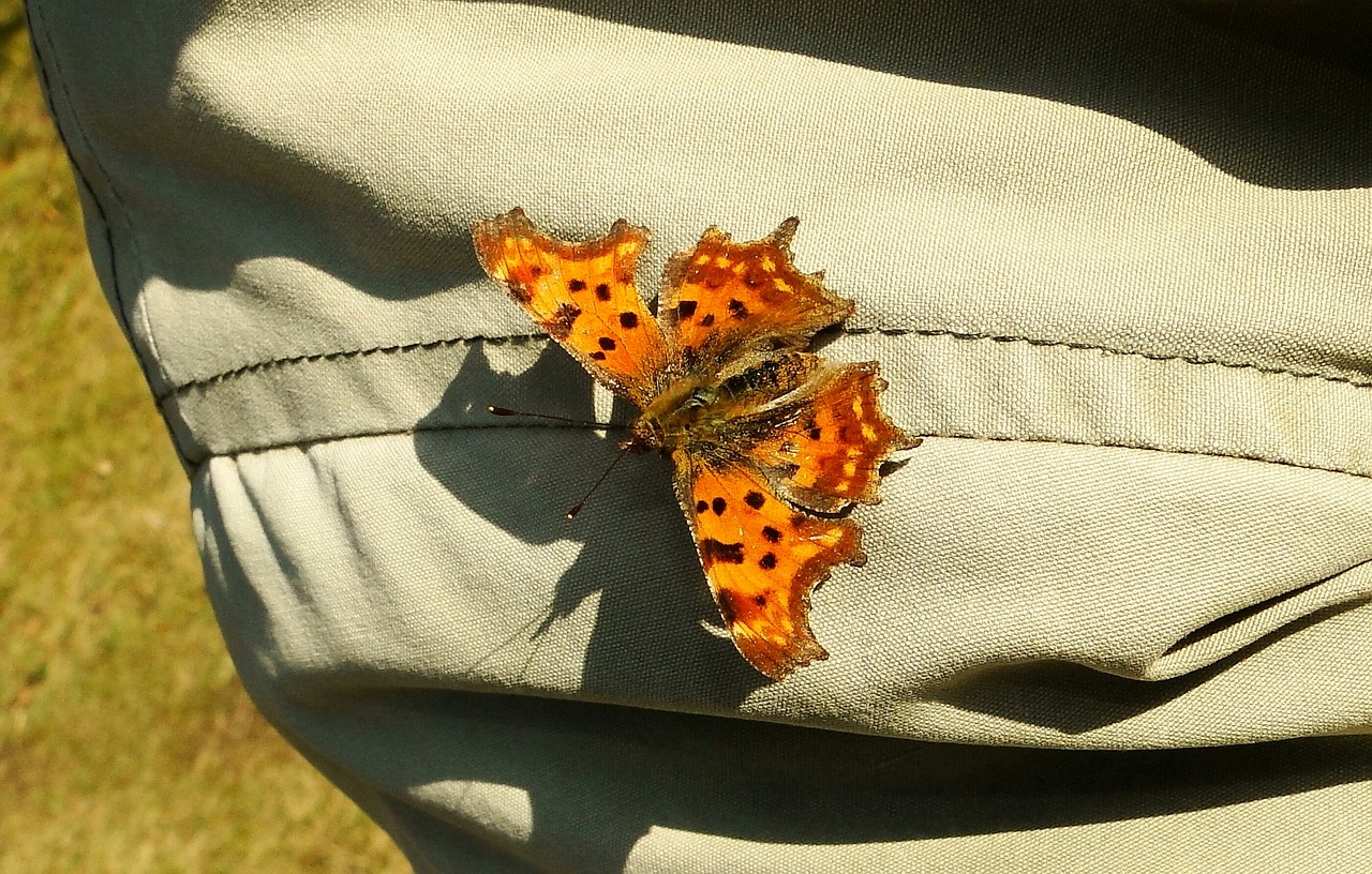 最新服裝招聘信息與行業(yè)招聘動(dòng)態(tài)及職業(yè)前景展望