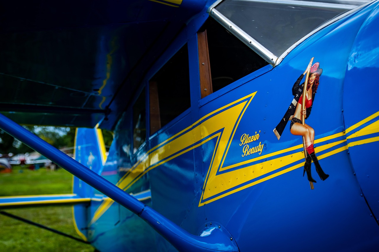 革新觀影體驗(yàn)，最新視頻app帶你飛！