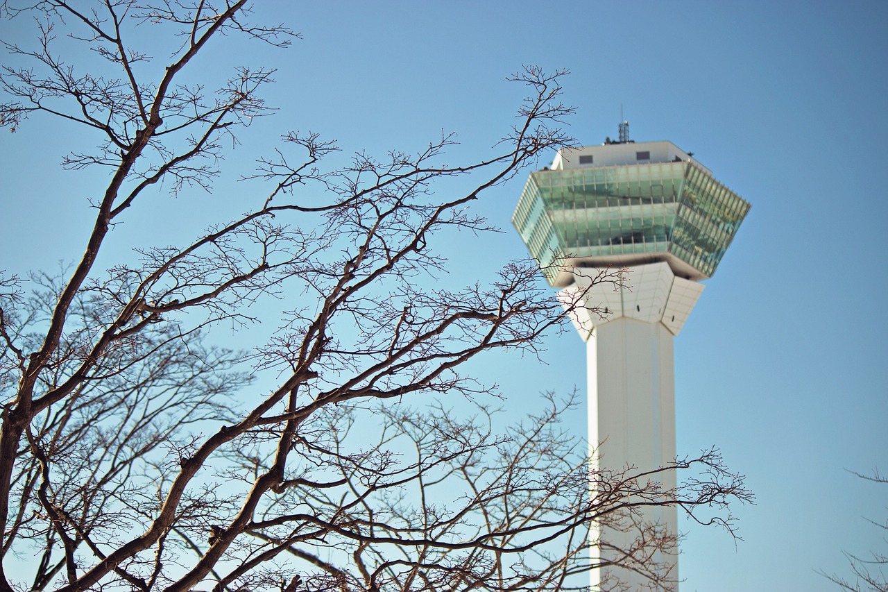 決斗之城最新動態(tài)，新時代卡牌競技盛宴揭秘